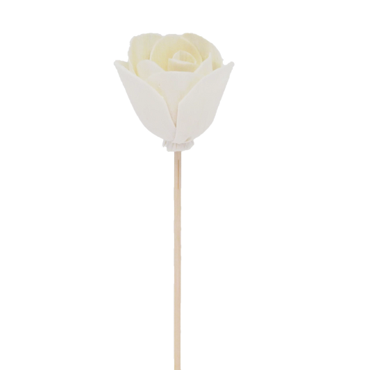 tulipe a fleur de pivoine  - batonnet diffuseur en rotin fleur