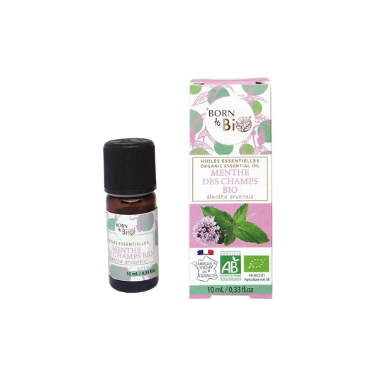 Huile essentielle Menthe des champs BioB 10 mL