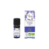 Huile essentielle Romarin camphré Bio